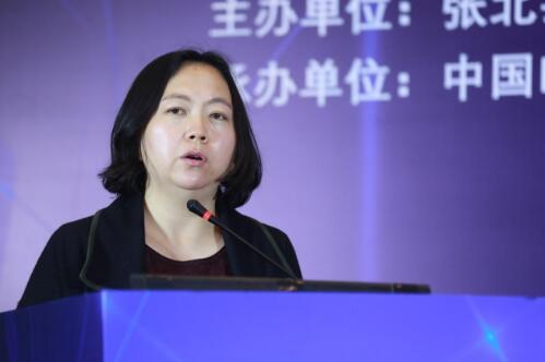 北京市经济和信息化局局长助理王兰